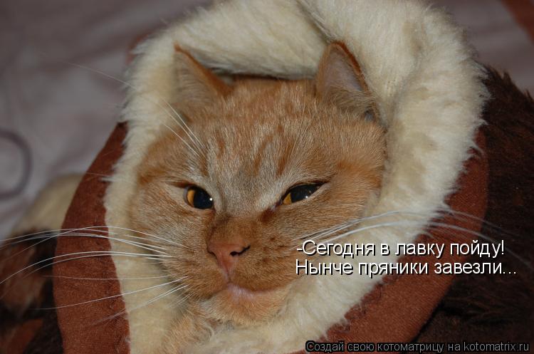 Котоматрица: -Сегодня в лавку пойду! Нынче пряники завезли...