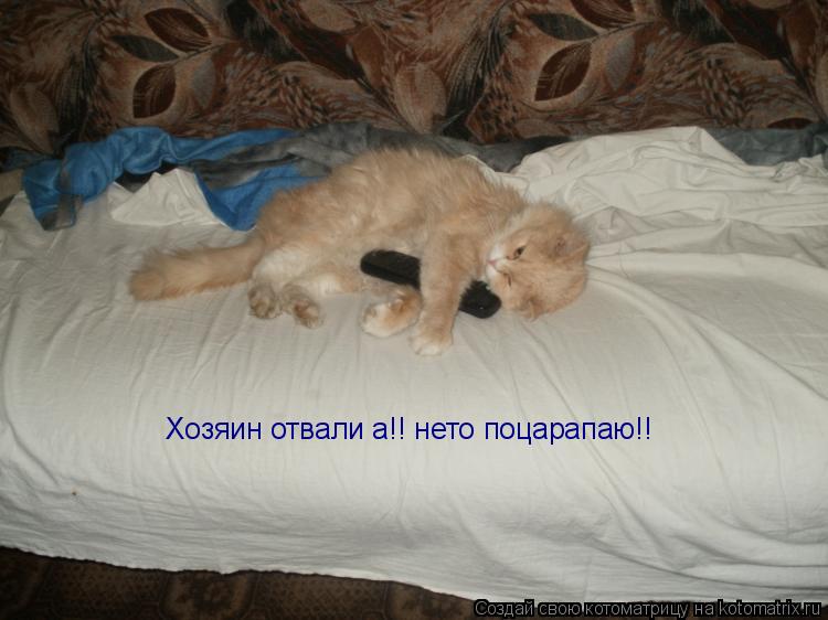 Котоматрица: Хозяин отвали а!! нето поцарапаю!!