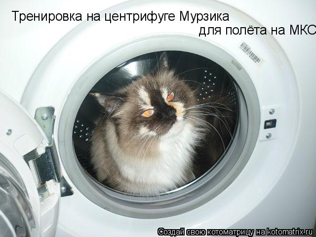 Котоматрица: Тренировка на центрифуге Мурзика    для полёта на МКС