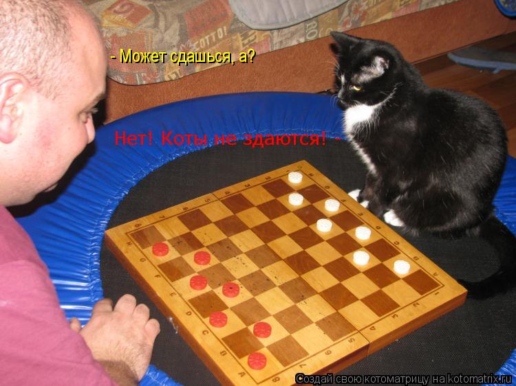 Котоматрица: - Может сдашься, а? Нет! Коты не здаются! -