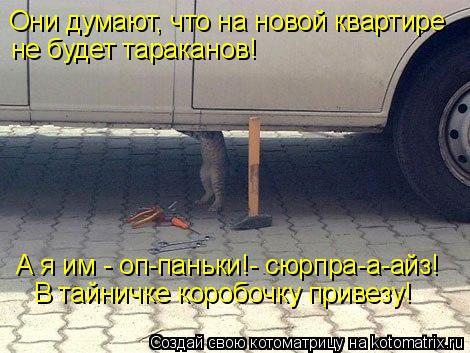 Котоматрица: Они думают, что на новой квартире не будет тараканов! А я им - оп-паньки!- сюрпра-а-айз! В тайничке коробочку привезу!