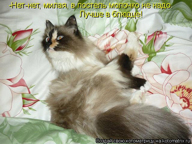 Котоматрица: -Нет-нет, милая, в постель молочко не надо. Лучше в блюдце!
