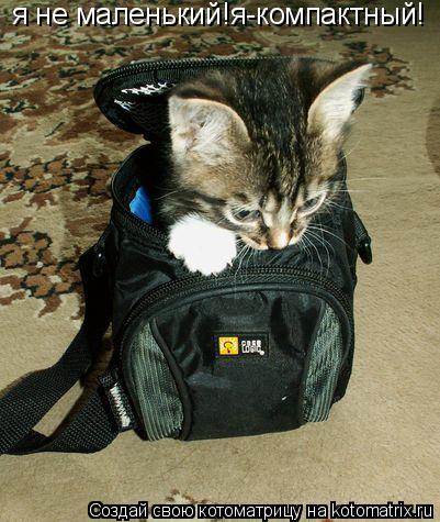 Котоматрица: я не маленький!я-компактный!