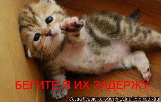 Котоматрица: БЕГИТЕ Я ИХ ЗАДЕРЖУ
