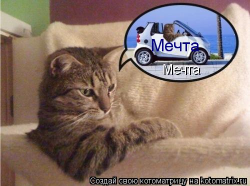 Котоматрица: Мечта Мечта