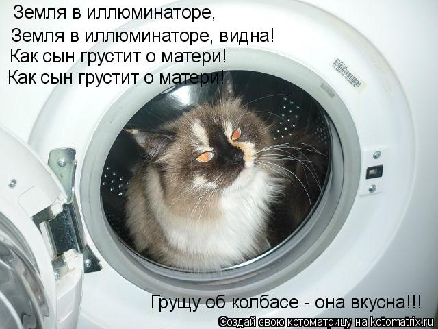 Котоматрица: Земля в иллюминаторе, Земля в иллюминаторе, видна! Как сын грустит о матери! Как сын грустит о матери!  Грущу об колбасе - она вкусна!!!