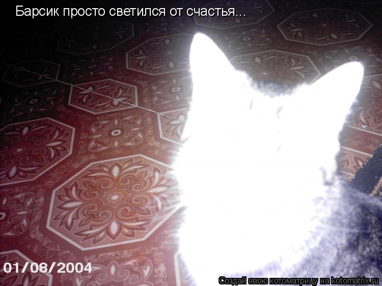 Котоматрица: Барсик просто светился от счастья...