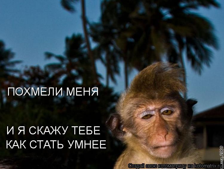 Котоматрица: ПОХМЕЛИ МЕНЯ  И Я СКАЖУ ТЕБЕ КАК СТАТЬ УМНЕЕ