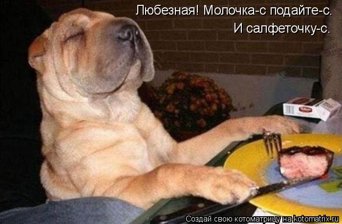 Котоматрица: Любезная! Молочка-с подайте-с. И салфеточку-с.