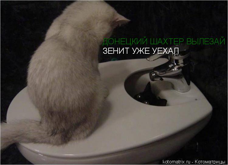 Котоматрица: ДОНЕЦКИЙ ШАХТЕР ВЫЛЕЗАЙ ЗЕНИТ УЖЕ УЕХАЛ