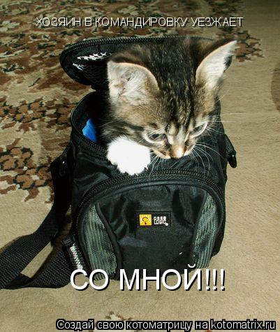 Котоматрица: ХОЗЯИН В КОМАНДИРОВКУ УЕЗЖАЕТ СО МНОЙ!!!