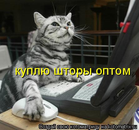 Котоматрица: куплю шторы оптом