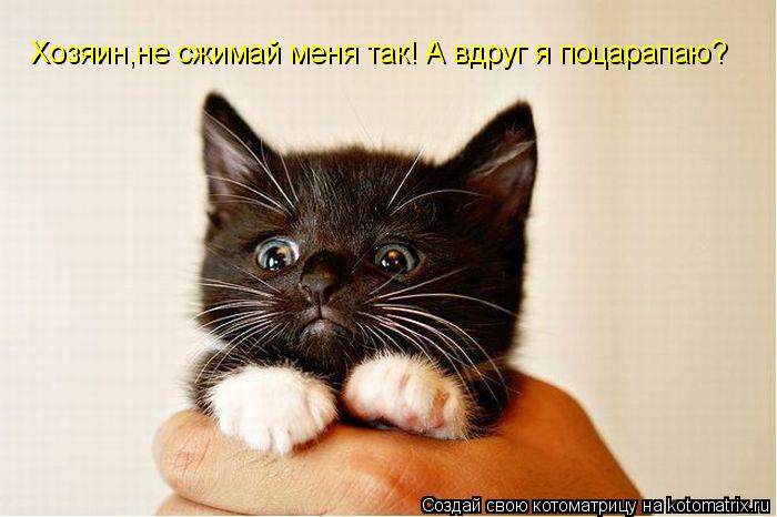 Котоматрица: Хозяин,не сжимай меня так! А вдруг я поцарапаю?