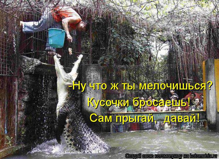 Котоматрица: -Ну что ж ты мелочишься?   Кусочки бросаешь! Сам прыгай,  давай!