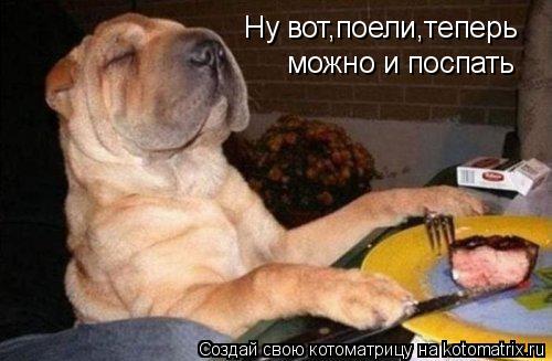 Котоматрица: Ну вот,поели,теперь можно и поспать