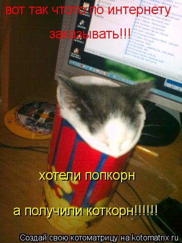 Котоматрица: вот так чтото по интернету  заказывать!!! хотели попкорн а получили коткорн!!!!!!