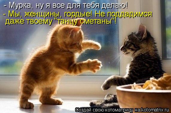 Котоматрица: - Мурка, ну я все для тебя делаю! - Мы, женщины, гордые! Не поддадимся - Мы, женщины, гордые! Не поддадимся даже твоему "танцу сметаны"!