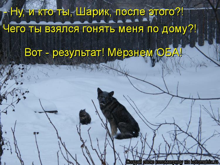 - Ну, и кто ты, Шарик, после этого?! Чего ты взялся гонять меня по дому?! Вот - результат! Мёрзнем ОБ... Котоматрица: - Ну, и кто ты, Шарик, после этого?! Чего ты взялся гонять меня по дому?! Вот - результат! Мёрзнем ОБА!