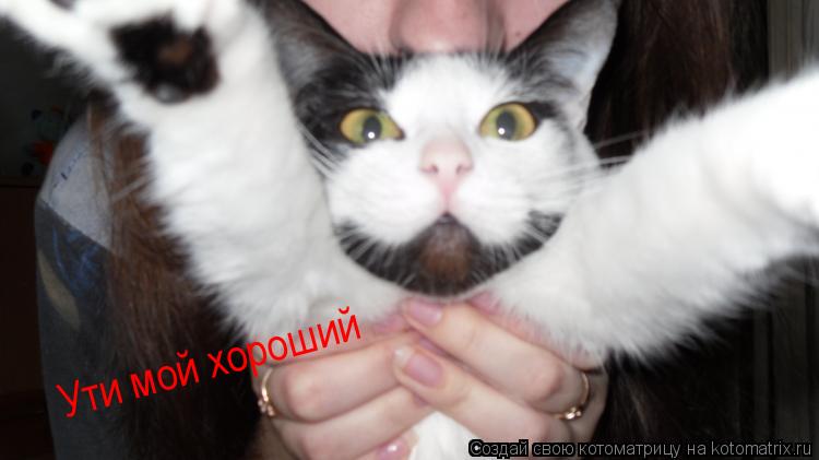 Котоматрица: Ути мой хороший
