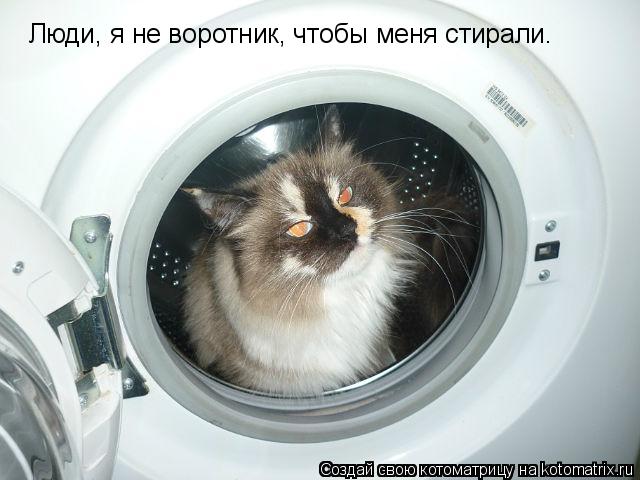 Котоматрица: Люди, я не воротник, чтобы меня стирали.