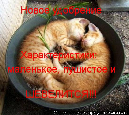 Котоматрица: Новое удобрение Характеристики:  маленькое, пушистое и ШЕВЕЛИТСЯ!!!