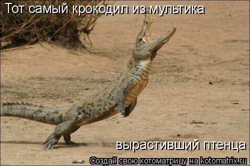 Котоматрица: Тот самый крокодил из мультика  вырастивший птенца