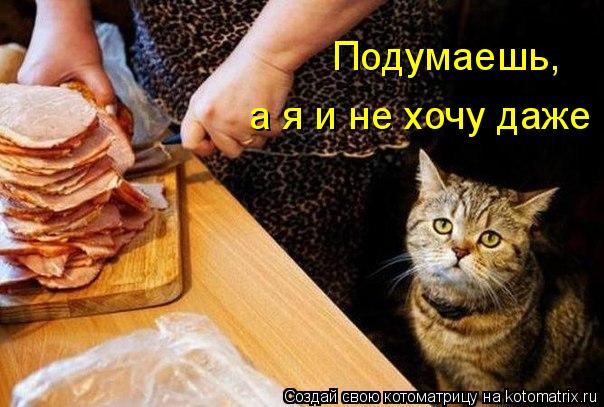 Котоматрица: Подумаешь, а я и не хочу даже