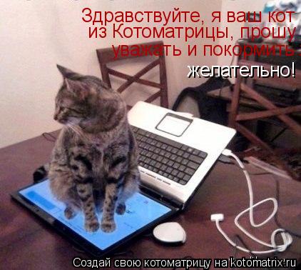 Котоматрица: Здравствуйте, я ваш кот из Котоматрицы, прошу уважать и покормить желательно!  из Котоматрицы, прошу уважать и покормить желательно! уважат