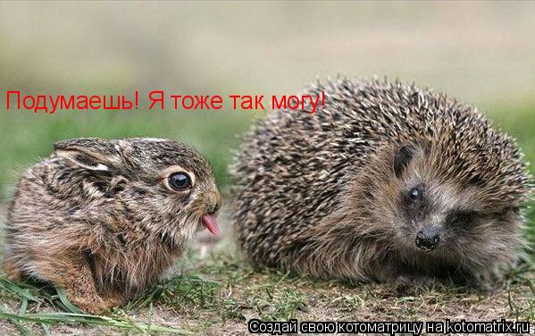 Котоматрица: Подумаешь! Я тоже так могу!