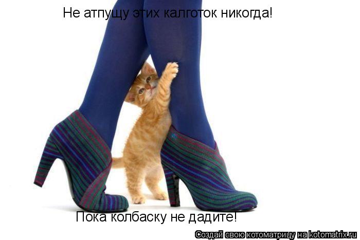 Котоматрица: Не атпущу этих калготок никогда! Пока колбаску не дадите!