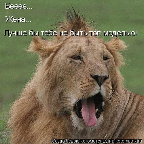 Котоматрица: Бееее... Жена... Лучше бы тебе не быть топ моделью!