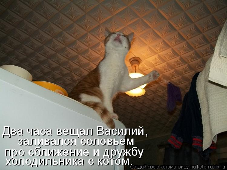 Два часа вещал Василий, заливался соловьем про сближение и дружбу холодильника с котом.... Котоматрица: Два часа вещал Василий, заливался соловьем про сближение и дружбу холодильника с котом.