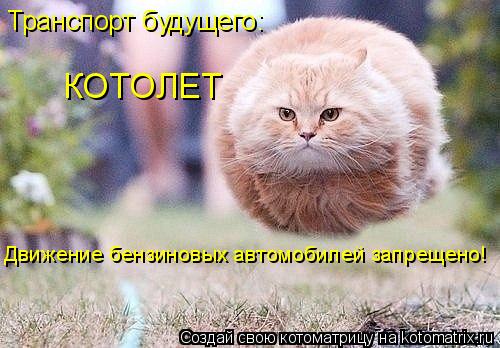 Котоматрица: Транспорт будущего: КОТОЛЕТ Движение бензиновых автомобилей запрещено!