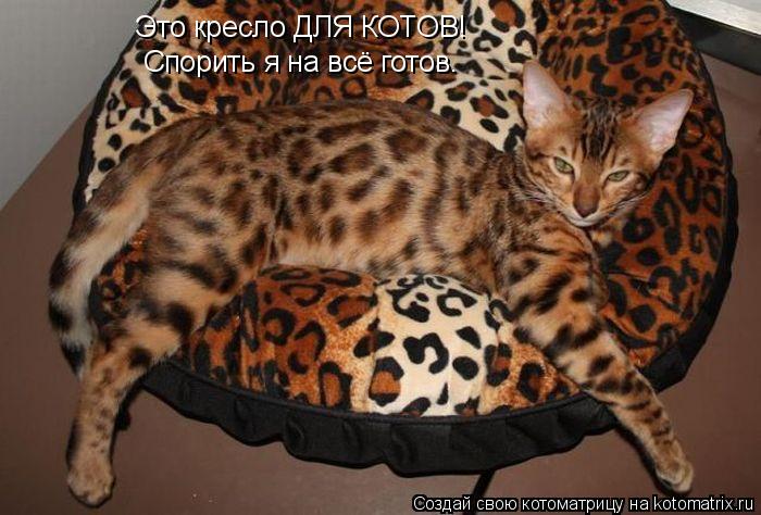 Котоматрица: Спорить я на всё готов. Это кресло ДЛЯ КОТОВ!