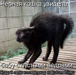 Котоматрица: Чёрная кошка увидела  бабу с пустыми вёдрами