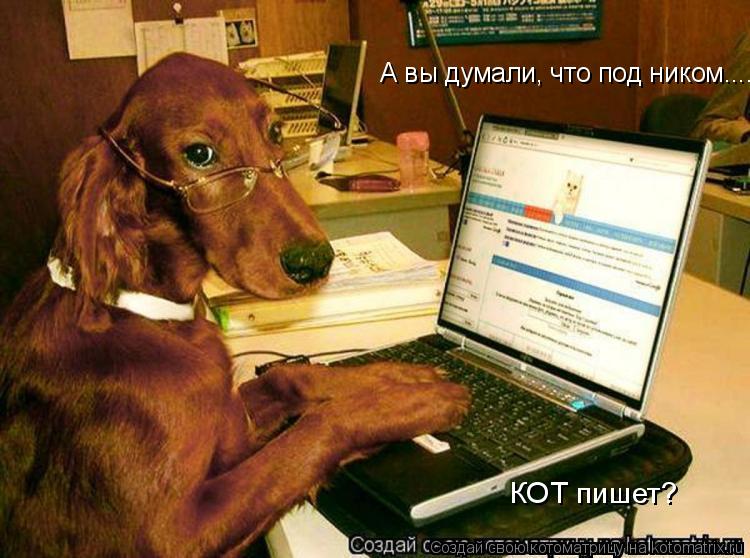 Котоматрица: КОТ пишет? А вы думали, что под ником....