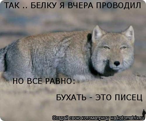 ТАК .. БЕЛКУ Я ВЧЕРА ПРОВОДИЛ НО ВСЕ РАВНО: БУХАТЬ - ЭТО ПИСЕЦ... Котоматрица: ТАК .. БЕЛКУ Я ВЧЕРА ПРОВОДИЛ НО ВСЕ РАВНО: БУХАТЬ - ЭТО ПИСЕЦ