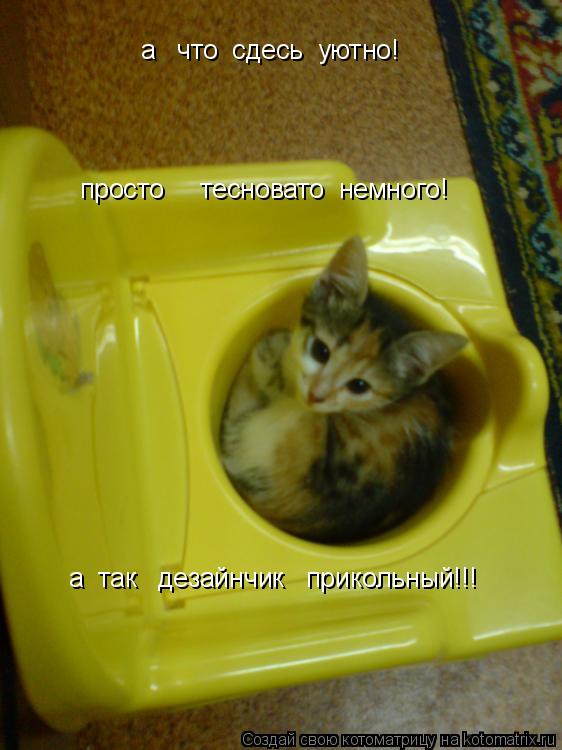 Котоматрица: а   что  сдесь  уютно! просто     тесновато  немного! а  так   дезайнчик   прикольный!!!