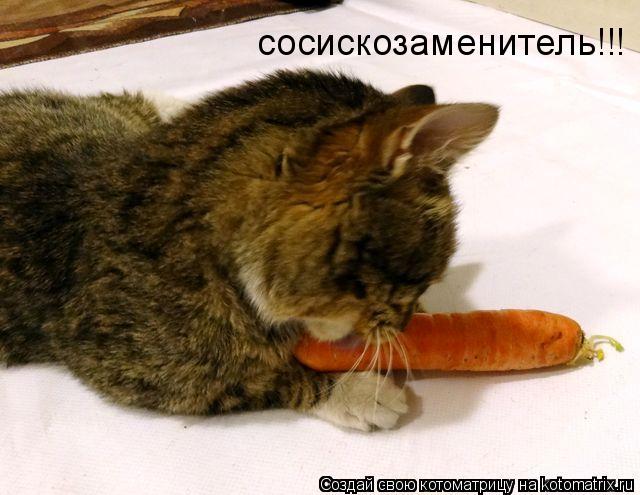 Котоматрица: сосискозаменитель!!!