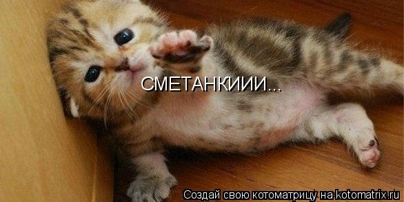 Котоматрица: СМЕТАНКИИИ...