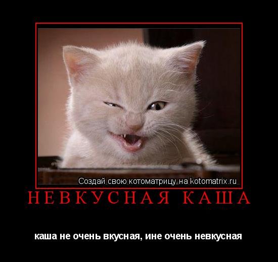 Котоматрица: невкусная каша каша не очень вкусная, ине очень невкусная