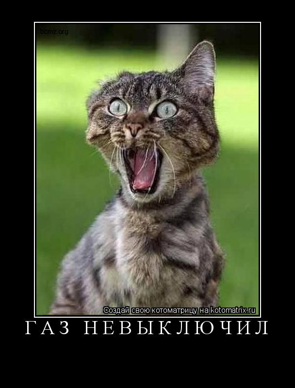 ... Котоматрица: