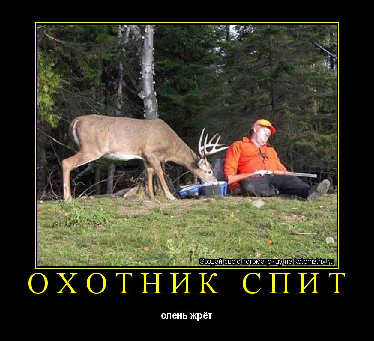 Охотник спит олень жрёт... Котоматрица: Охотник спит олень жрёт