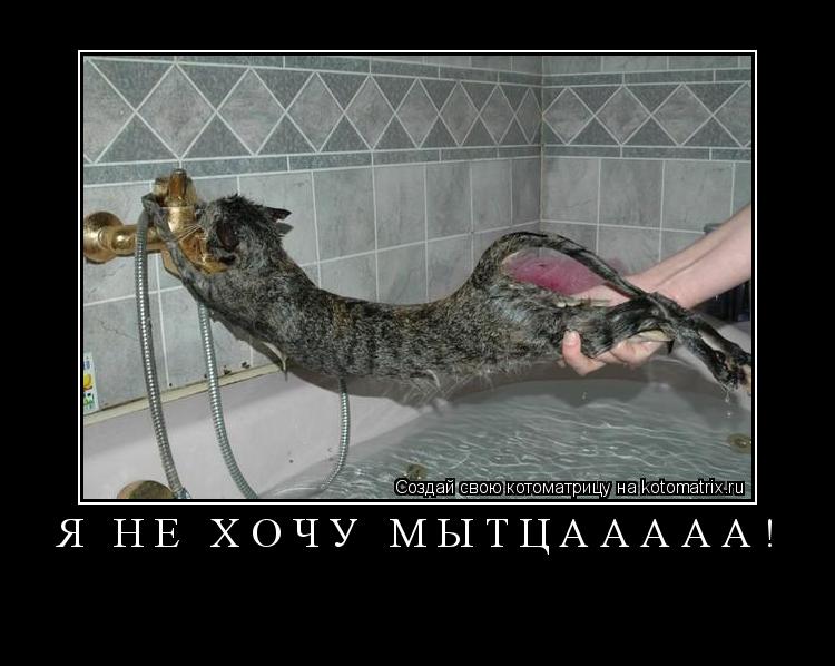 Я не хочу мытцааааа! ... Котоматрица: Я не хочу мытцааааа!