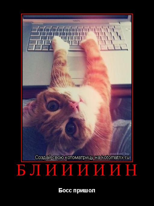Блииииин Босс пришол... Котоматрица: Блииииин Босс пришол