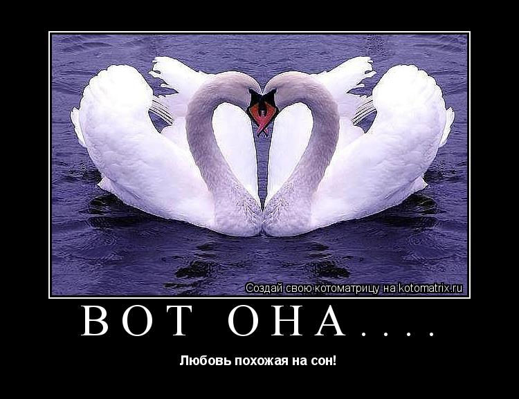 Вот она.... Любовь похожая на сон!... Котоматрица: Вот она.... Любовь похожая на сон!