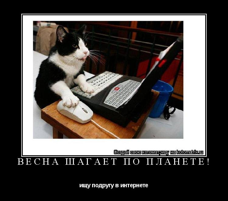 Котоматрица: Весна шагает по планете! ищу подругу в интернете