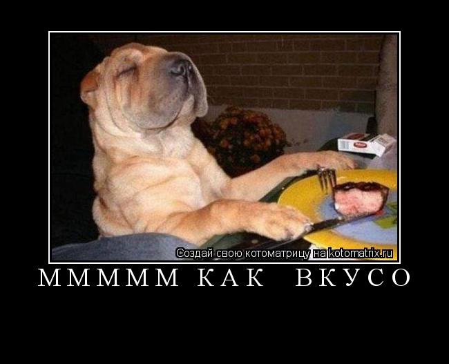 Котоматрица: ммммм как  вкусо 