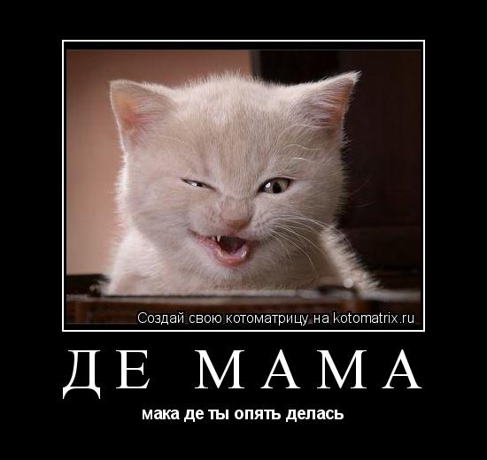 Котоматрица: ДЕ МАМА мака де ты опять делась