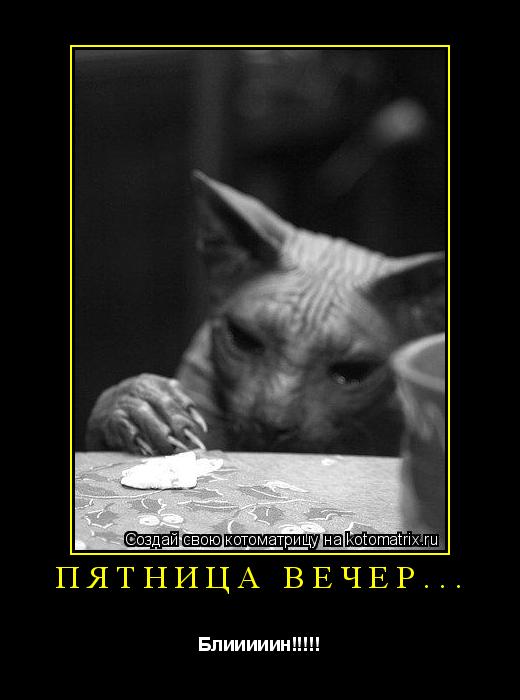 Котоматрица: Пятница вечер... Блииииин!!!!!